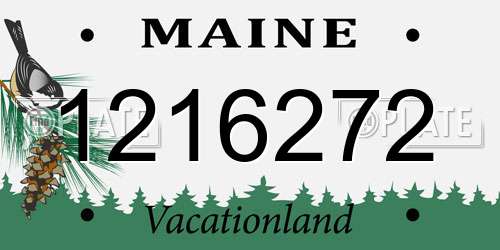 1216272 Maine License Plate