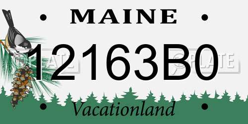 12163B0 Maine License Plate
