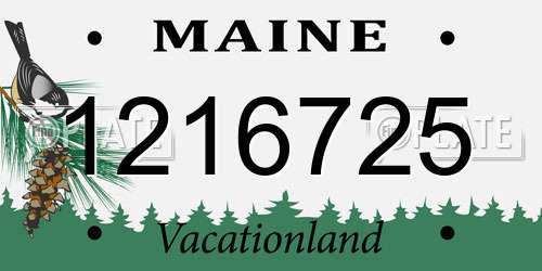 1216725 Maine License Plate