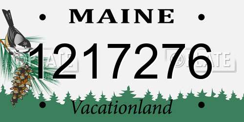 1217276 Maine License Plate