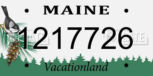 1217726 Maine License Plate
