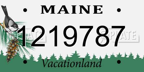 1219787 Maine License Plate