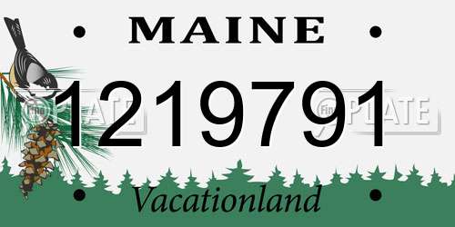 1219791 Maine License Plate