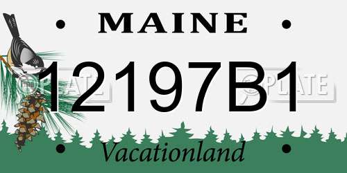 12197B1 Maine License Plate