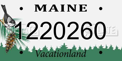 1220260 Maine License Plate