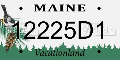 12225D1 Maine License Plate