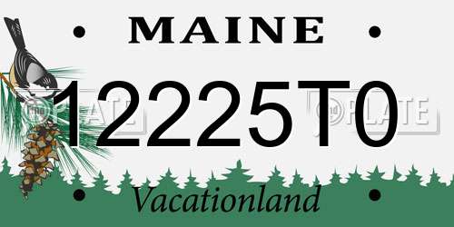 12225T0 Maine License Plate