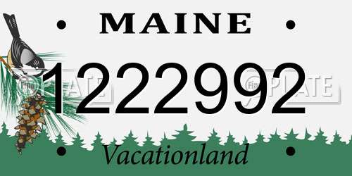 1222992 Maine License Plate