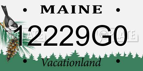 12229G0 Maine License Plate