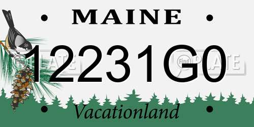12231G0 Maine License Plate