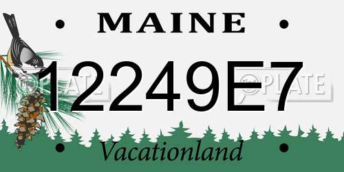12249E7 Maine License Plate