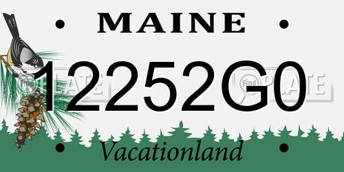 12252G0 Maine License Plate