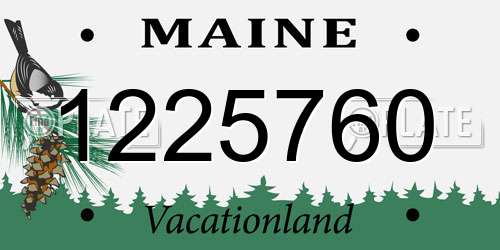 1225760 Maine License Plate