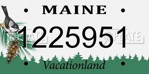 1225951 Maine License Plate