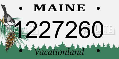 1227260 Maine License Plate
