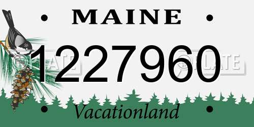 1227960 Maine License Plate