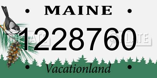 1228760 Maine License Plate