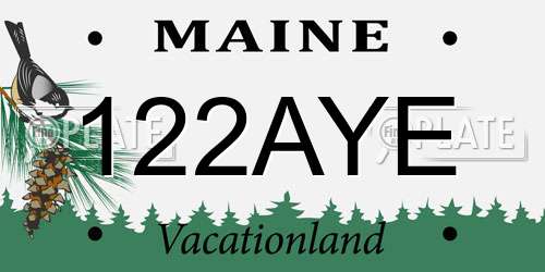 122AYE Maine License Plate