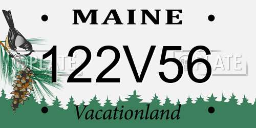 122V56 Maine License Plate