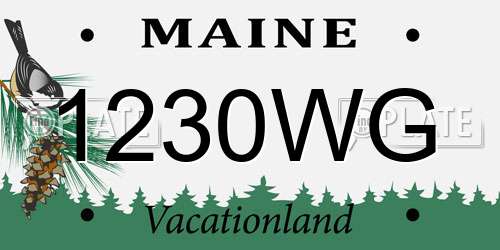 1230WG Maine License Plate