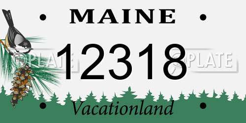 12318 Maine License Plate