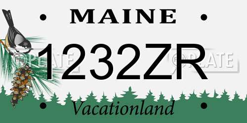 1232ZR Maine License Plate