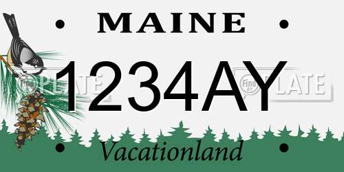 1234AY Maine License Plate
