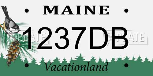 1237DB Maine License Plate