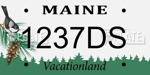 1237DS Maine License Plate