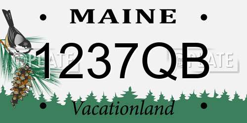 1237QB Maine License Plate