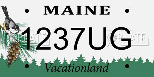 1237UG Maine License Plate