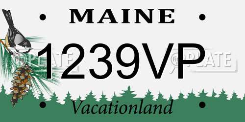 1239VP Maine License Plate