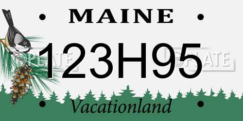 123H95 Maine License Plate