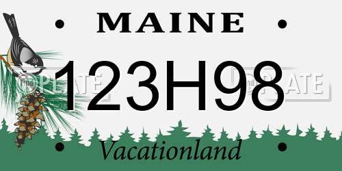 123H98 Maine License Plate