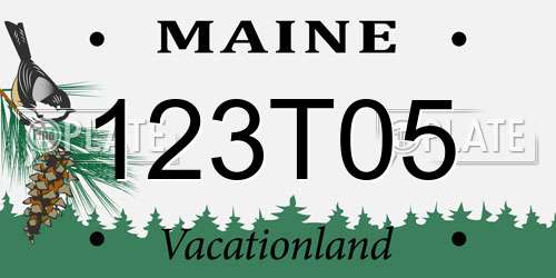 123T05 Maine License Plate