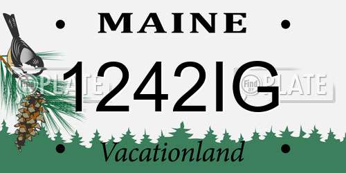 1242IG Maine License Plate