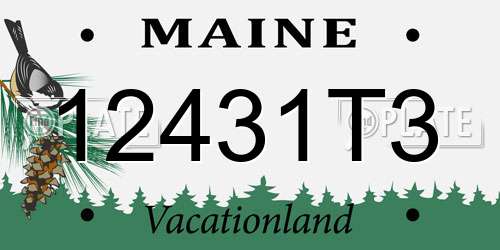 12431T3 Maine License Plate