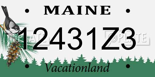 12431Z3 Maine License Plate