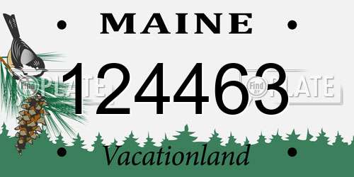 124463 Maine License Plate