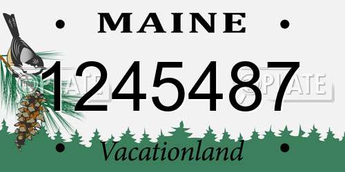 1245487 Maine License Plate