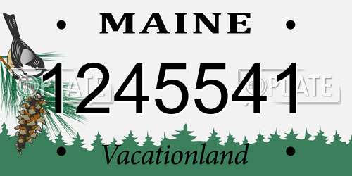 1245541 Maine License Plate