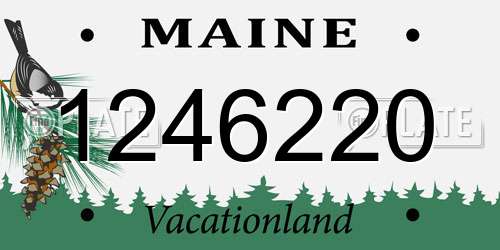 1246220 Maine License Plate
