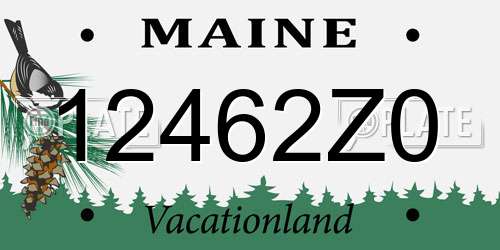 12462Z0 Maine License Plate