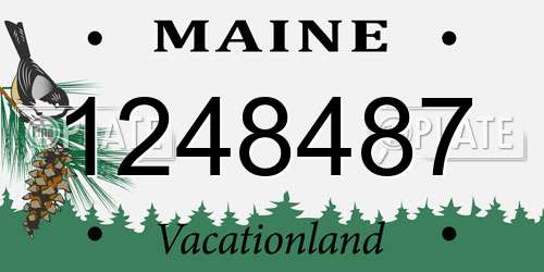 1248487 Maine License Plate