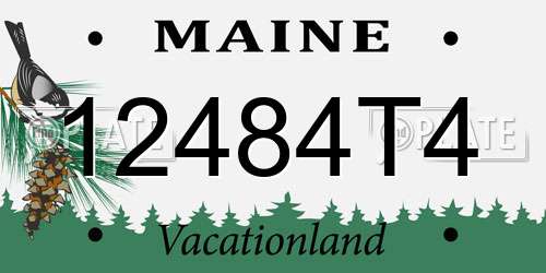 12484T4 Maine License Plate