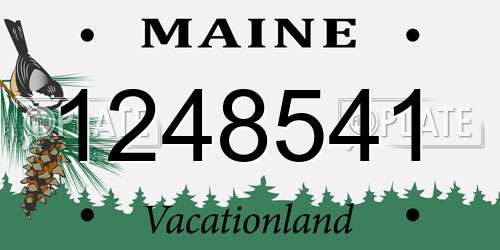 1248541 Maine License Plate
