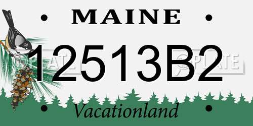 12513B2 Maine License Plate