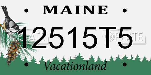 12515T5 Maine License Plate