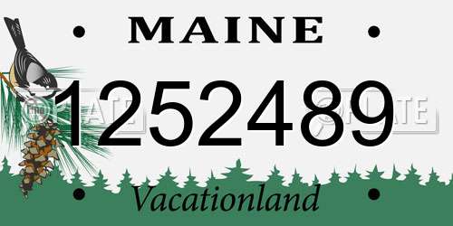 1252489 Maine License Plate