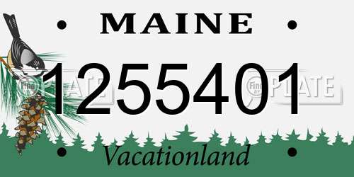 1255401 Maine License Plate